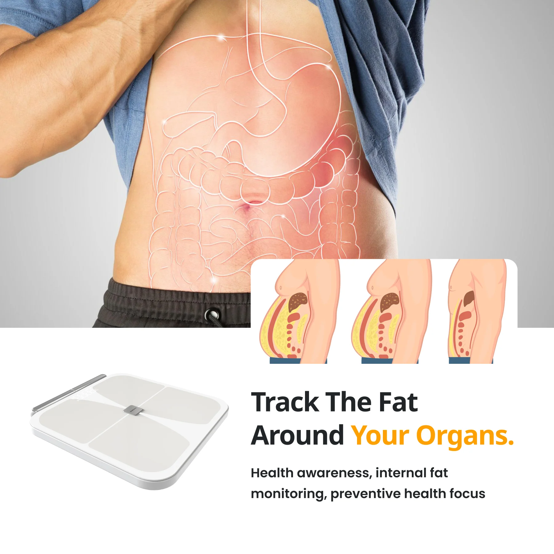 Smart Body Scale - Image 10